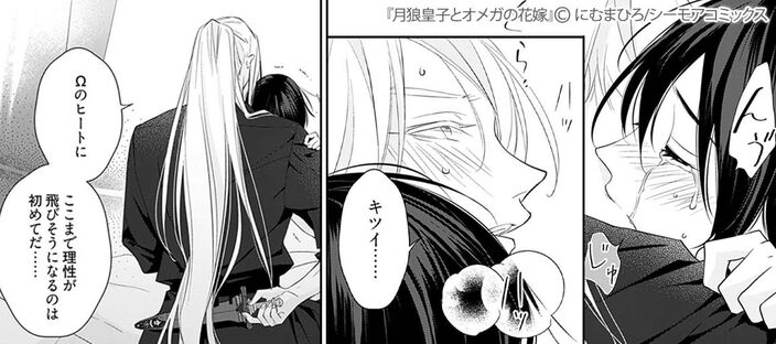 月狼皇子とオメガの花嫁のコマ