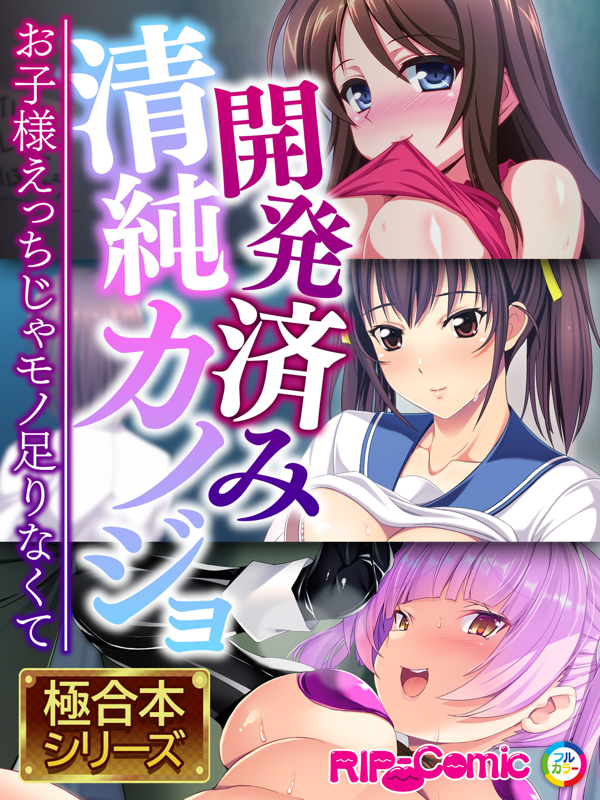 開発済み清純カノジョ ～お子様えっちじゃモノ足りなくて～【極合本シリーズ】