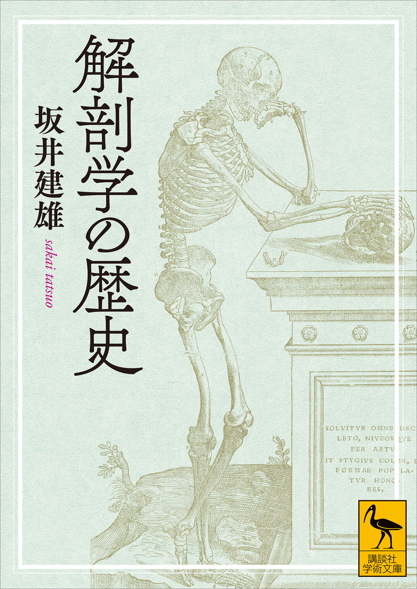 解剖学の歴史