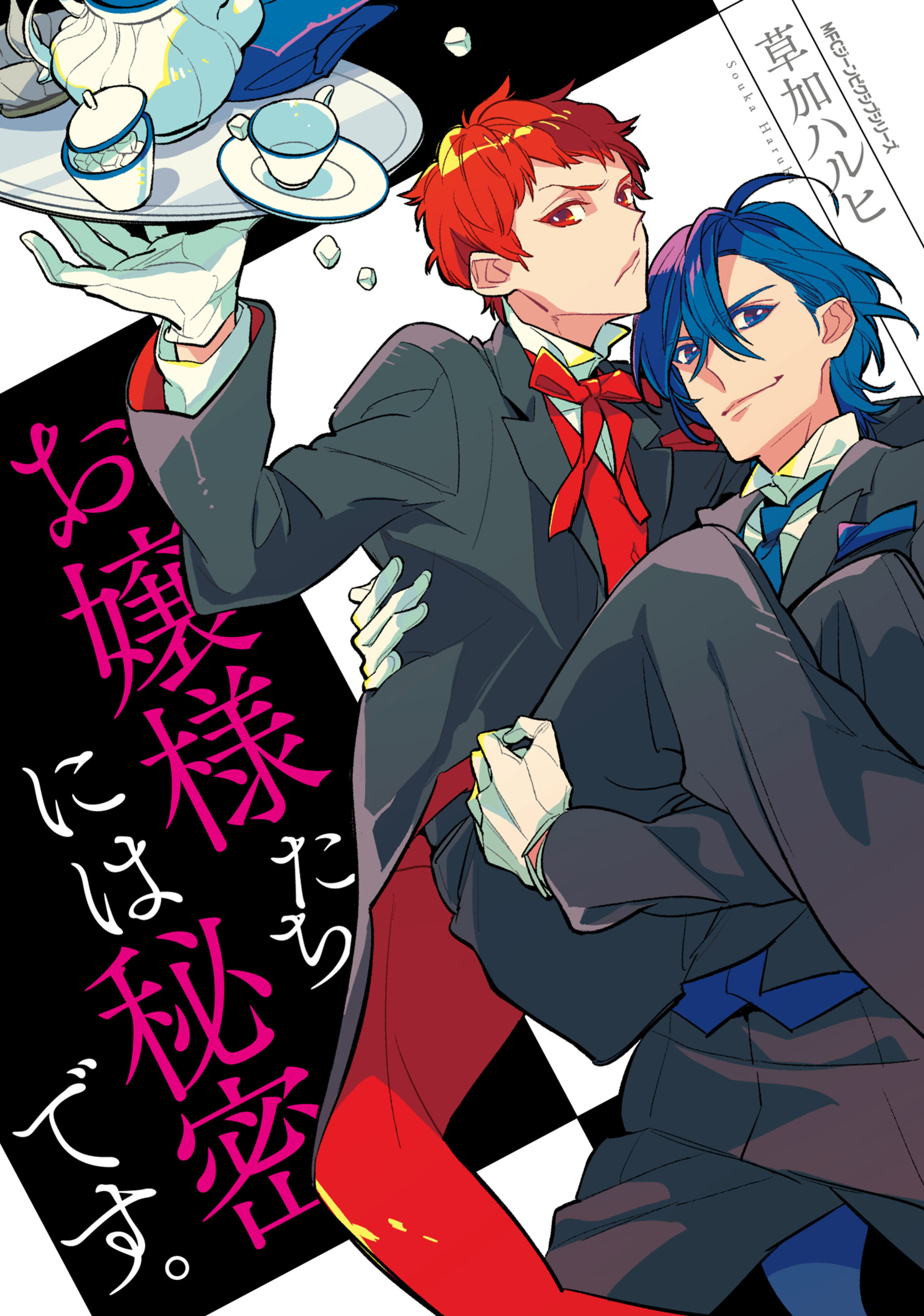 お嬢様たちには秘密です。【タテスク】