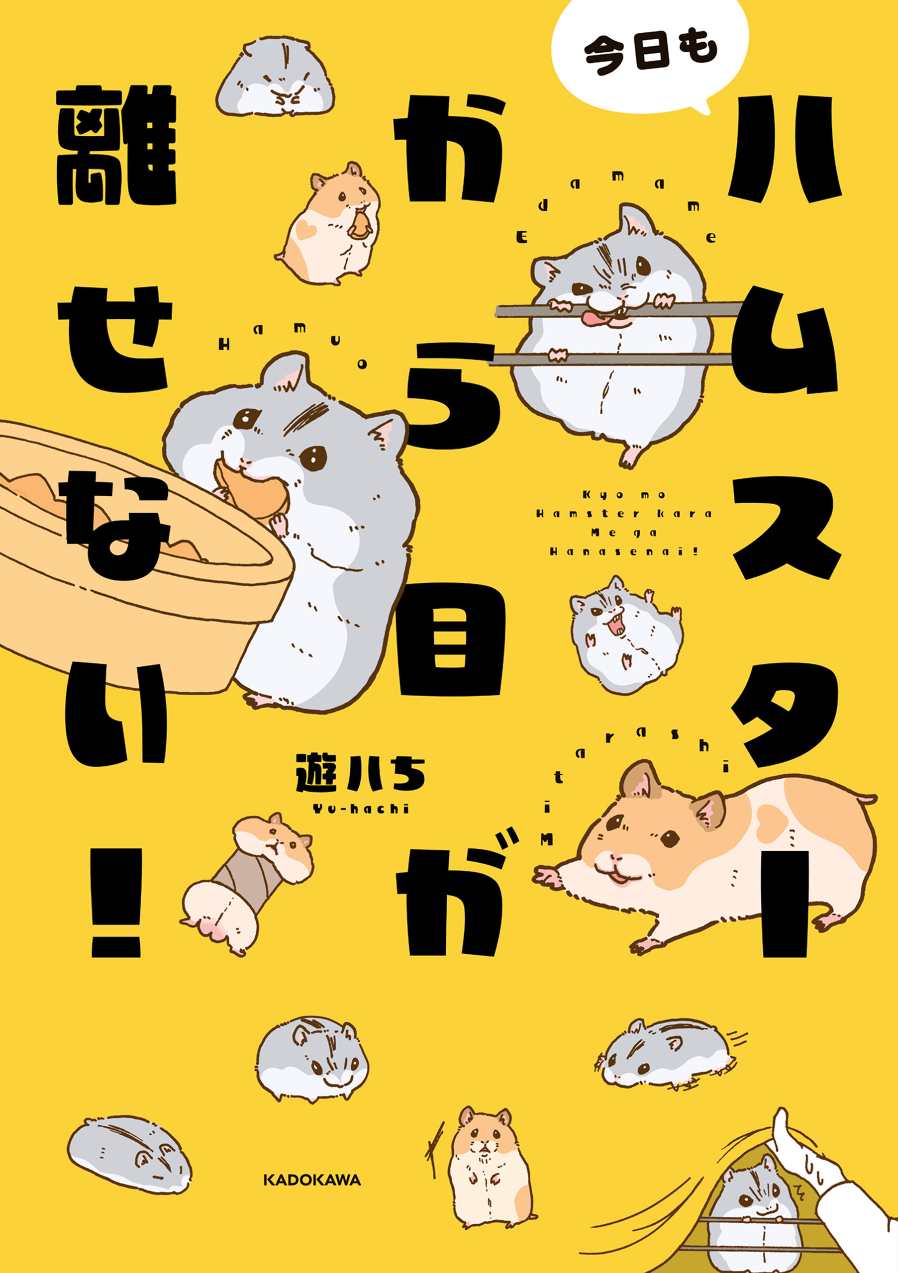 今日もハムスターから目が離せない！