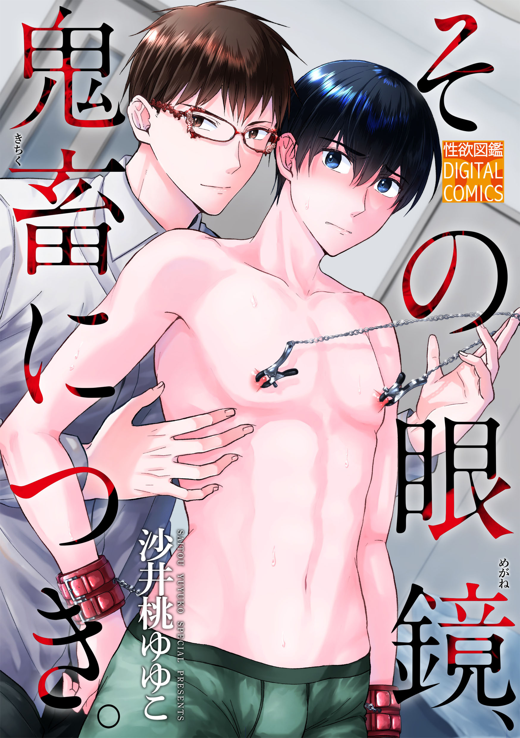 その眼鏡、鬼畜につき。