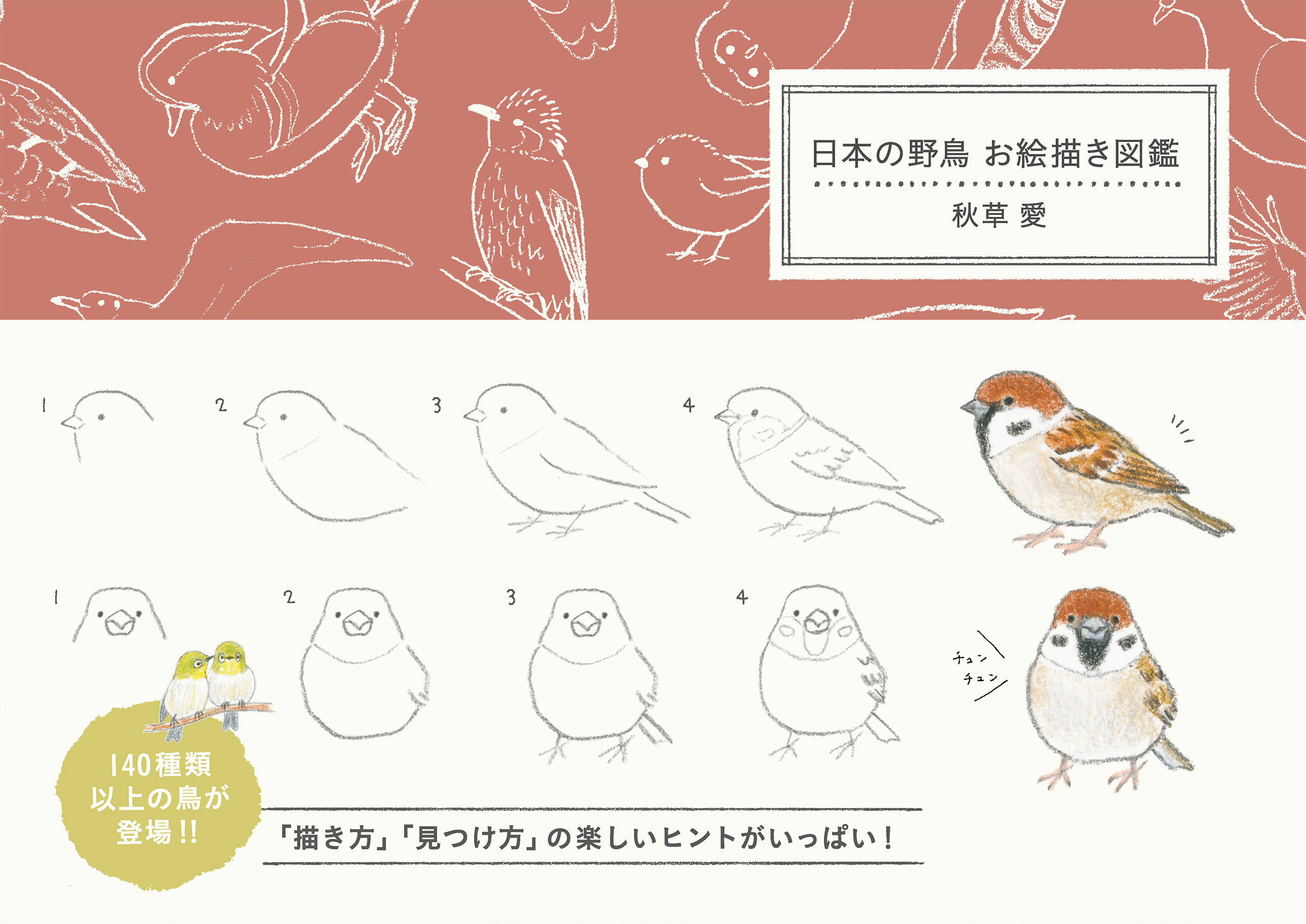 日本の野鳥 お絵描き図鑑