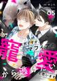 突然ですが、マフィアの寵愛から逃げたいと思います(フルカラー) 5