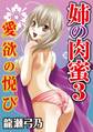 姉の肉蜜【分冊版】3 愛欲の悦び