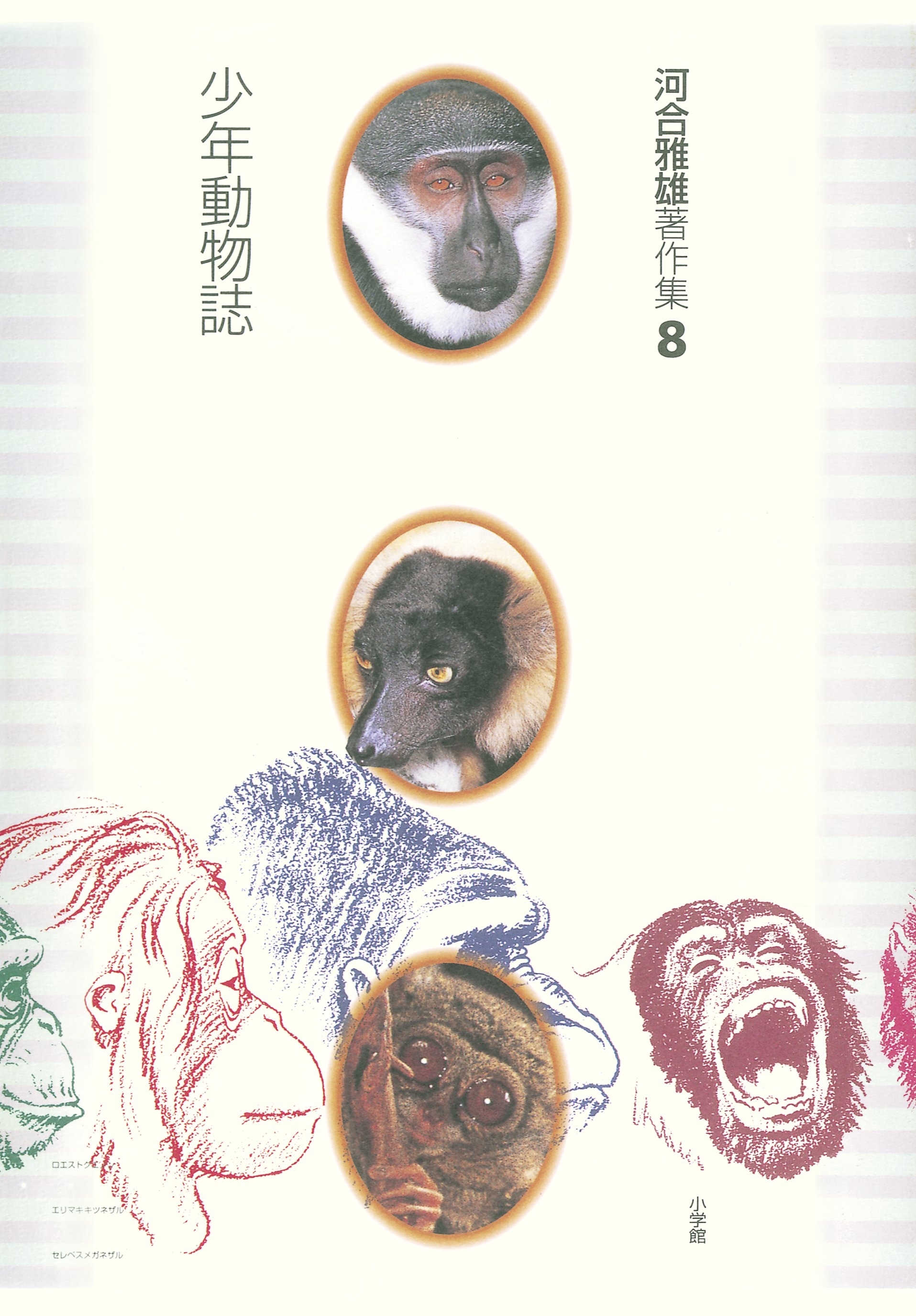 河合雅雄著作集8　少年動物誌