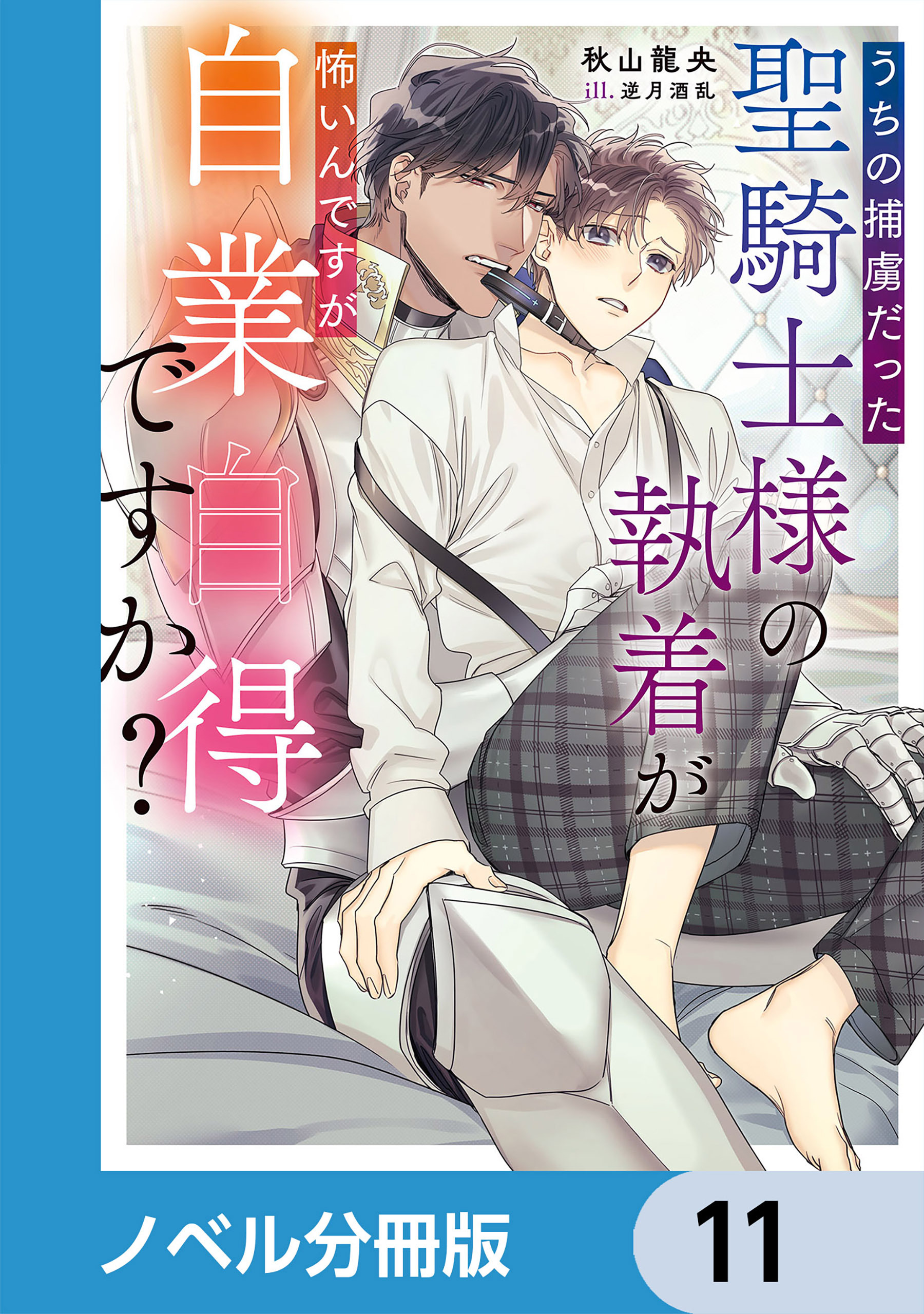 うちの捕虜だった聖騎士様の執着が怖いんですが自業自得ですか？【ノベル分冊版】　11