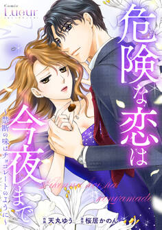 危険な恋は今夜まで~禁断の味はチョコレートのように~