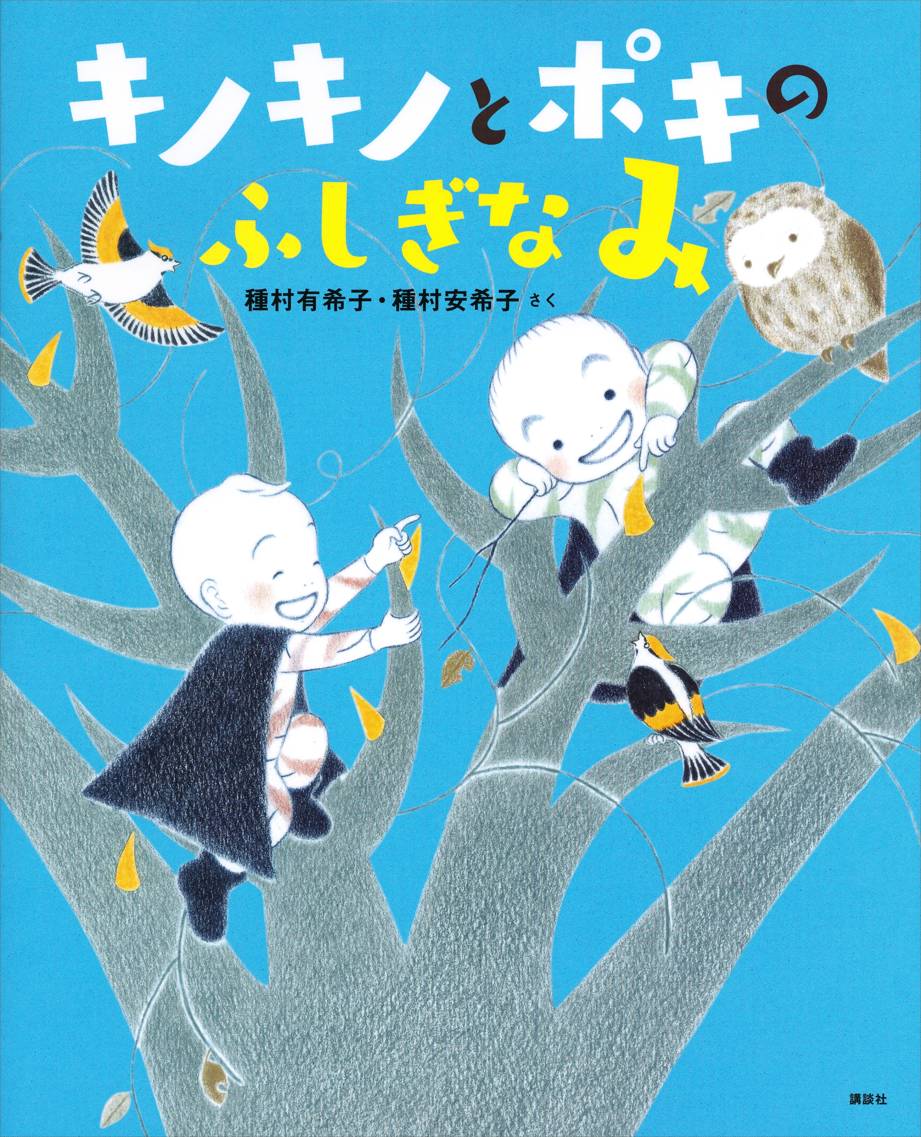 キノキノとポキの　ふしぎなみ