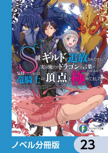 Ｓ級ギルドを追放されたけど、実は俺だけドラゴンの言葉がわかるので、気付いたときには竜騎士の頂点を極めてました。【ノベル分冊版】　23