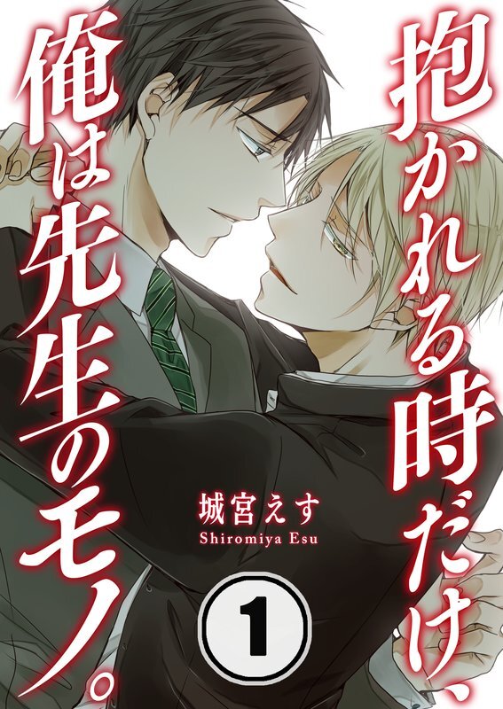 抱かれる時だけ、俺は先生のモノ。(1)