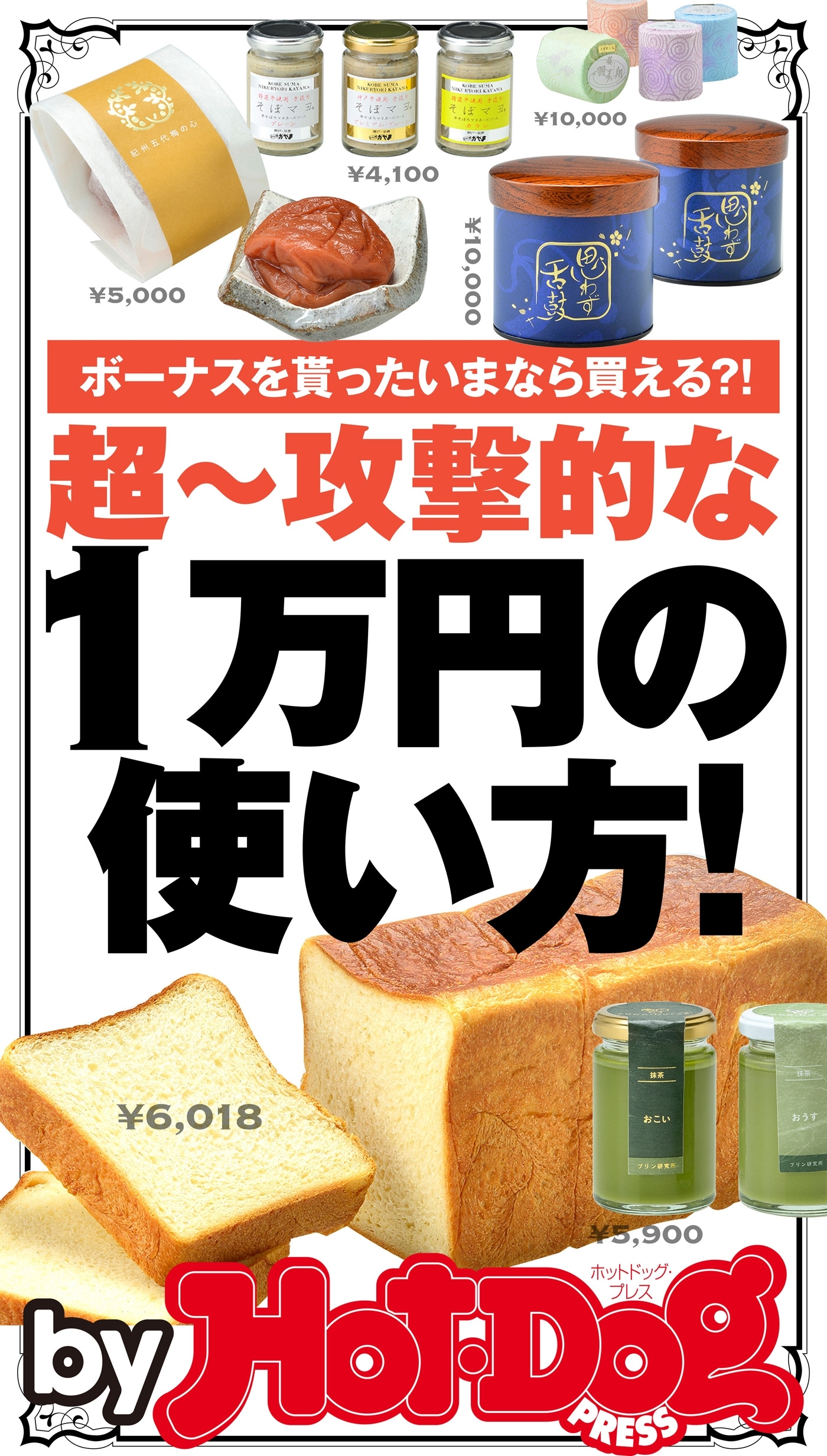 ｂｙ　Ｈｏｔ－Ｄｏｇ　ＰＲＥＳＳ　超～攻撃的な１万円の使い方！　ボーナス貰ったいまなら買える？！