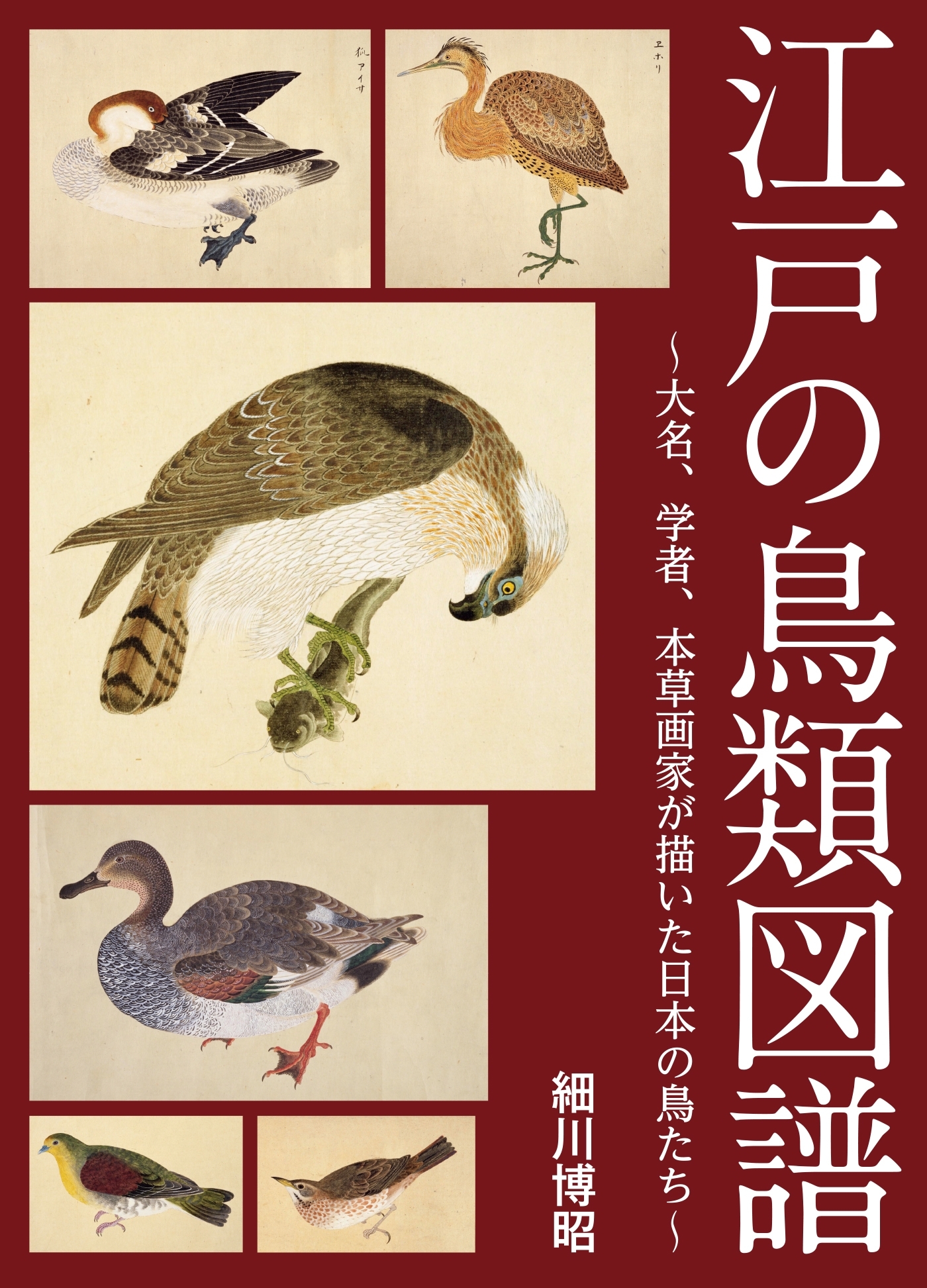 江戸の鳥類図譜 ～大名、学者、本草画家が描いた日本の鳥たち～