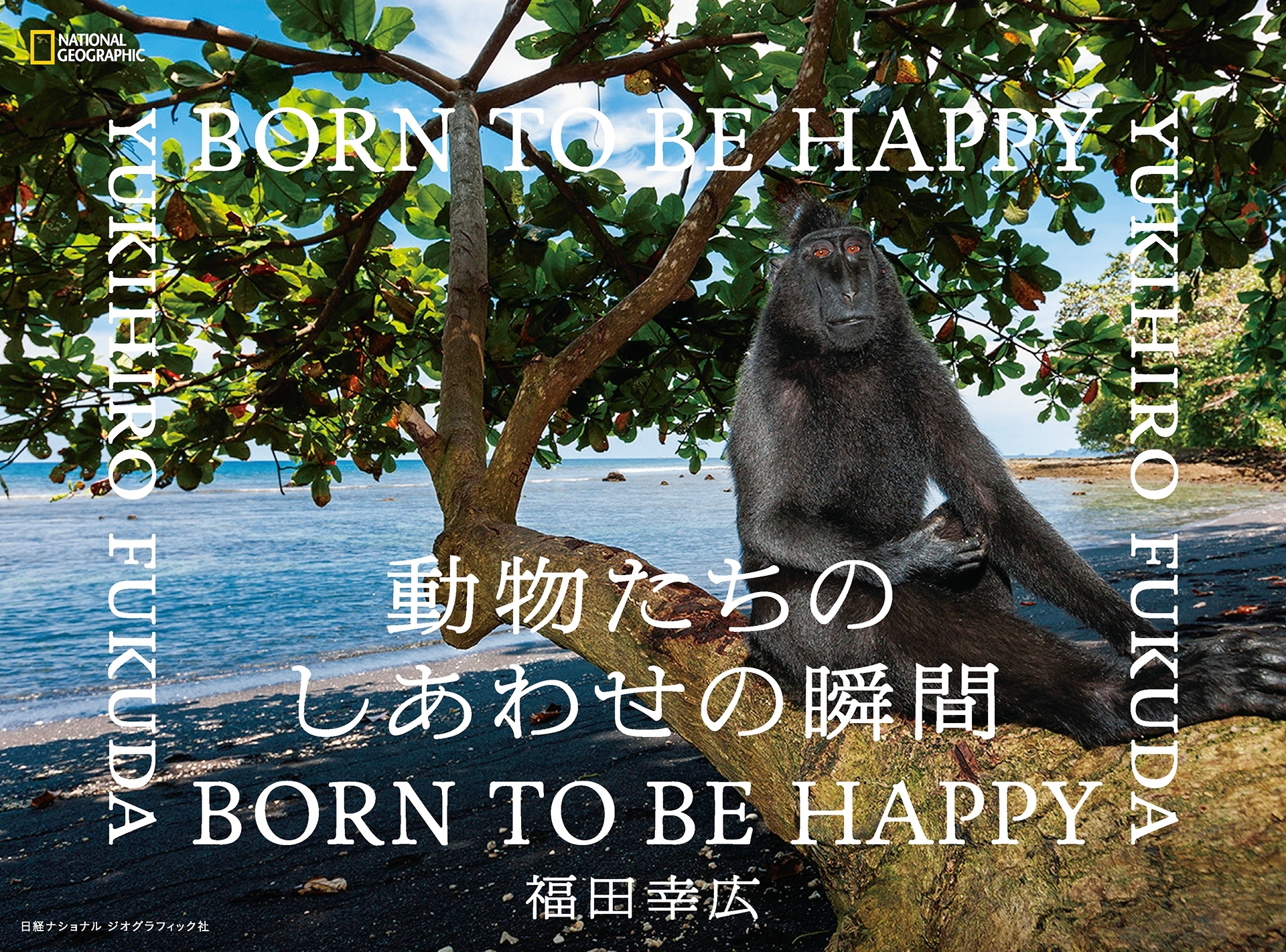 動物たちのしあわせの瞬間