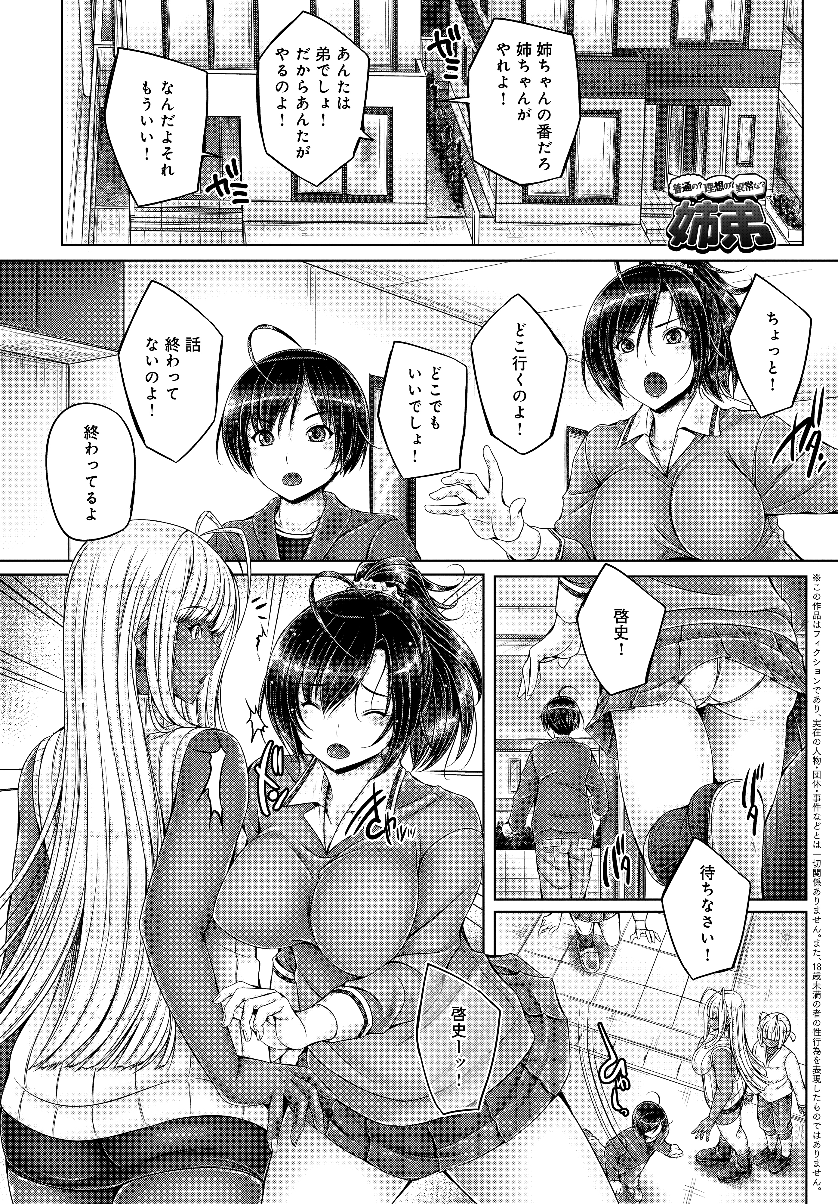 普通の？理想の？異常な？姉弟