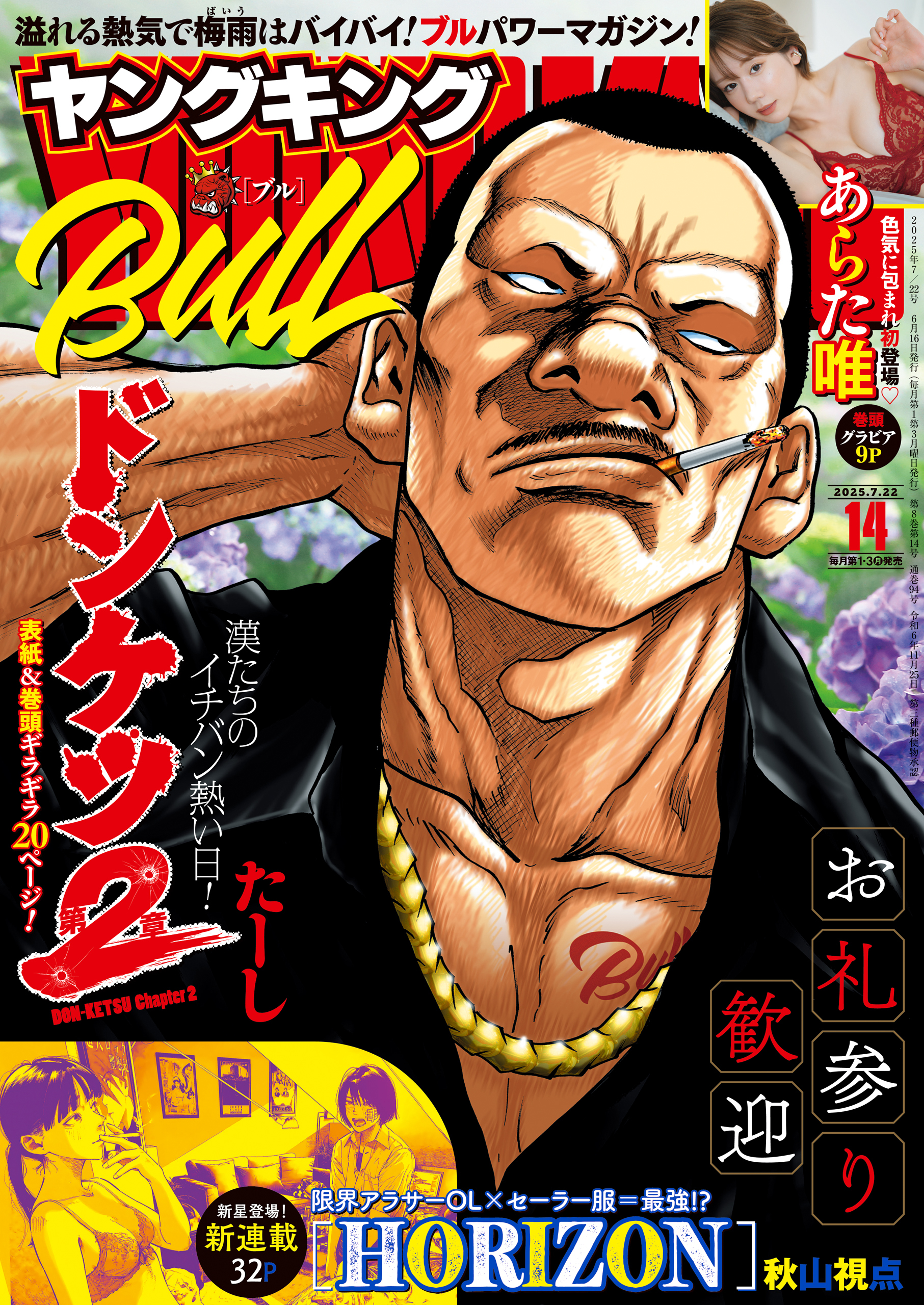 ヤングキングBULL 2025年14号