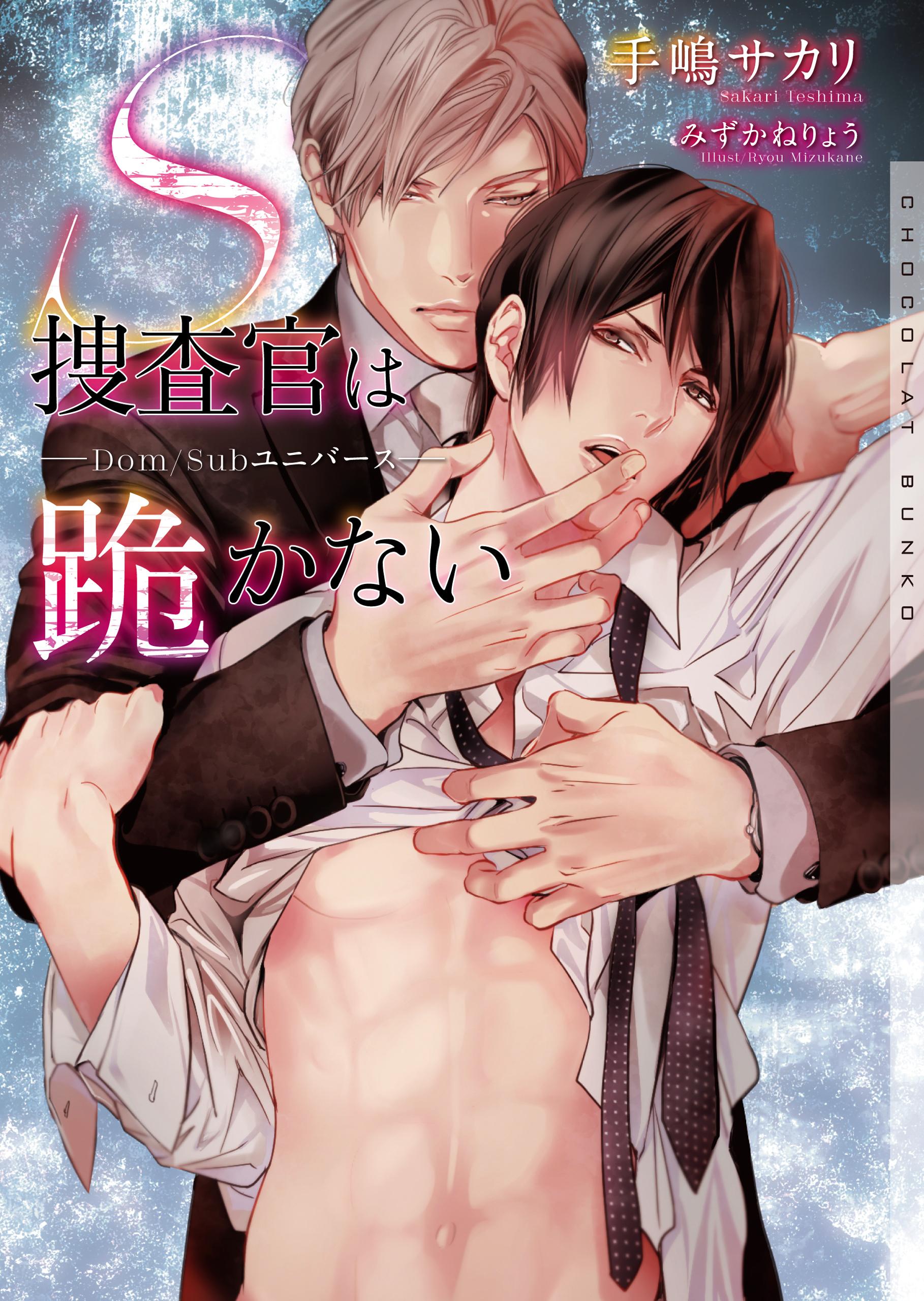 S捜査官は跪かない―Dom/Subユニバース―【イラストあり・協力書店＆電子書籍共通 特典ショートストーリーつき】