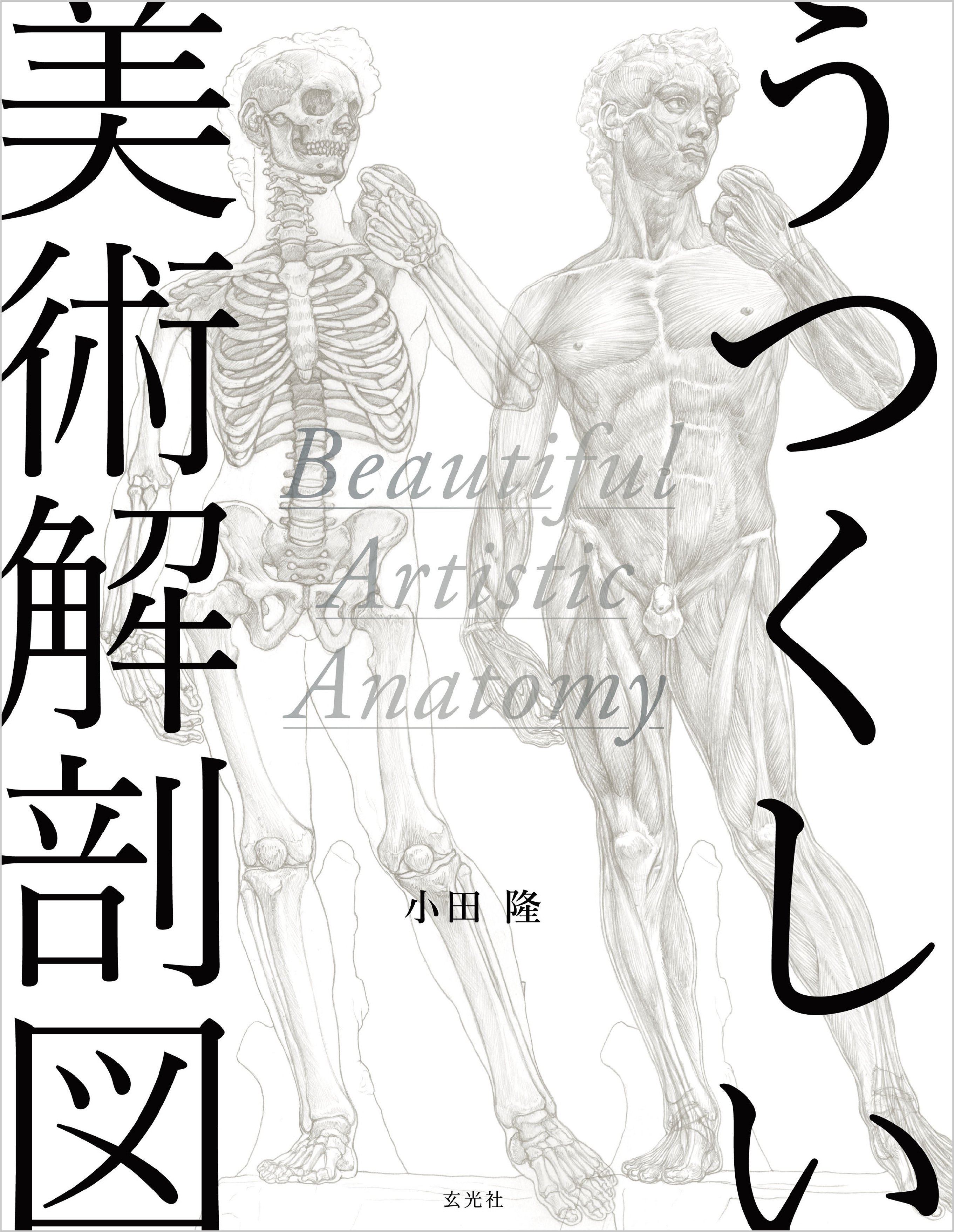 うつくしい美術解剖図