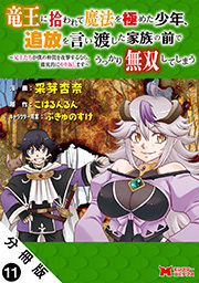 竜王に拾われて魔法を極めた少年、追放を言い渡した家族の前でうっかり無双してしまう～兄上たちが僕の仲間を攻撃するなら、徹底的にやり返します～（コミック） 分冊版 ： 11
