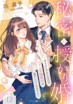 秘密の授かり婚~身を引こうとしたけど、エリート御曹司が逃がしてくれません~【分冊版】