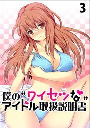 僕の“ワイセツな”アイドル取扱説明書