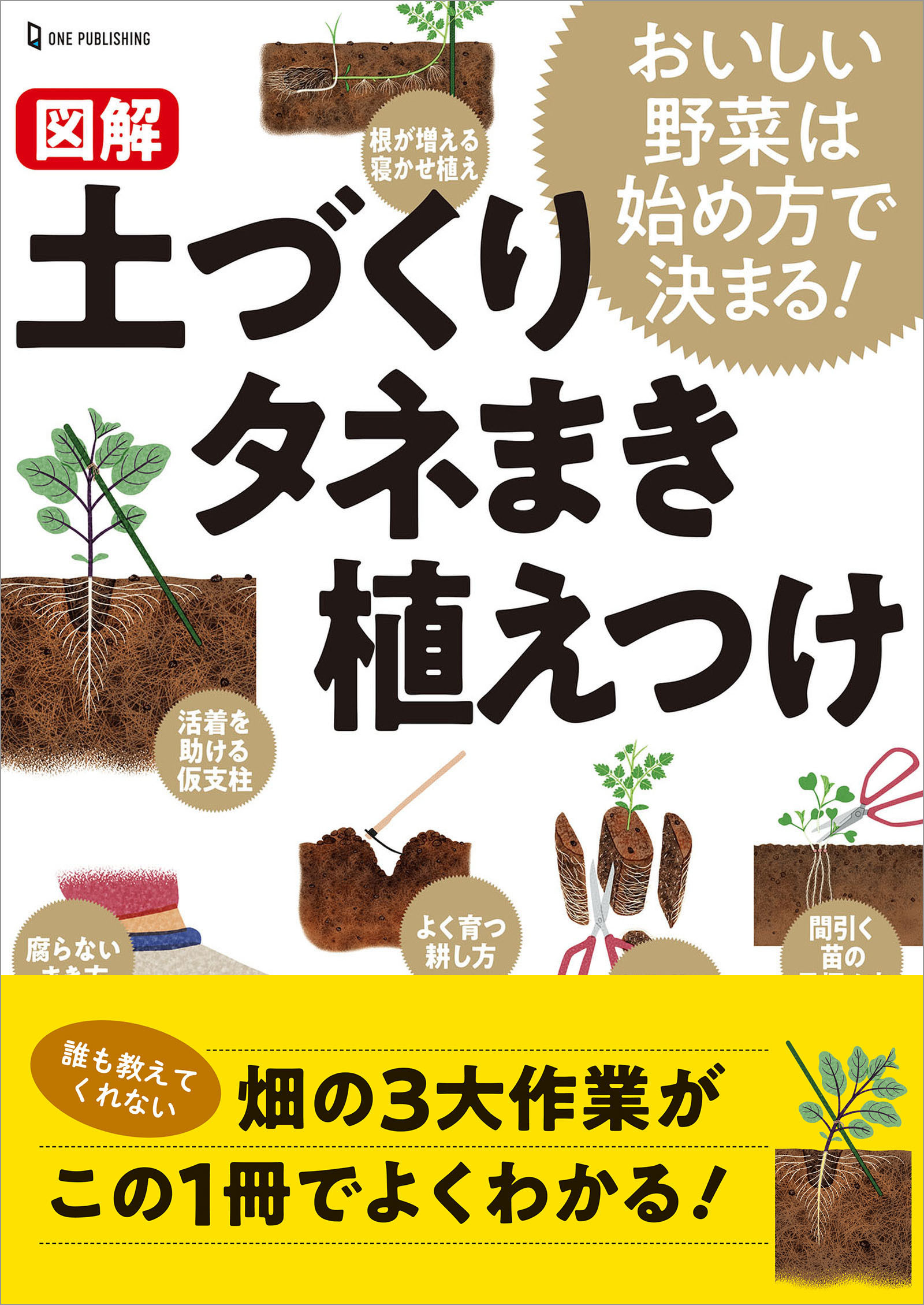 図解 土づくり タネまき 植えつけ