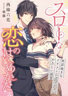 スローな恋のはじめかた ~世話焼きなイケメン公認会計士のやさしい溺愛~