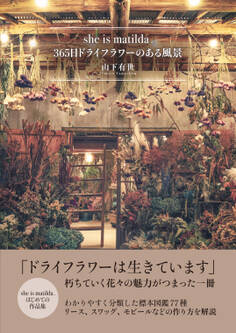 she is matilda. 365日 ドライフラワーのある風景