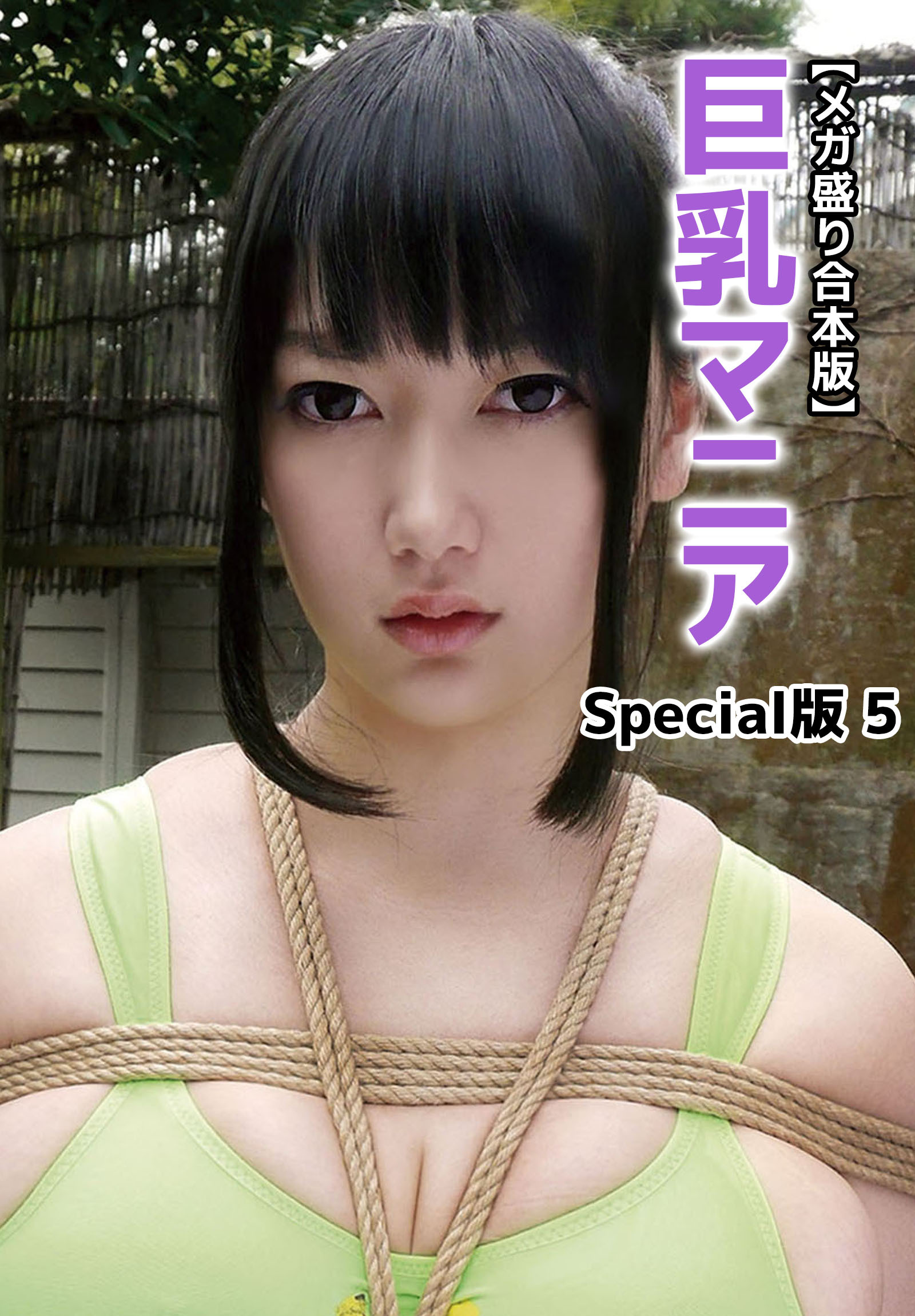 【メガ盛り合本版】巨乳マニア Special版 5