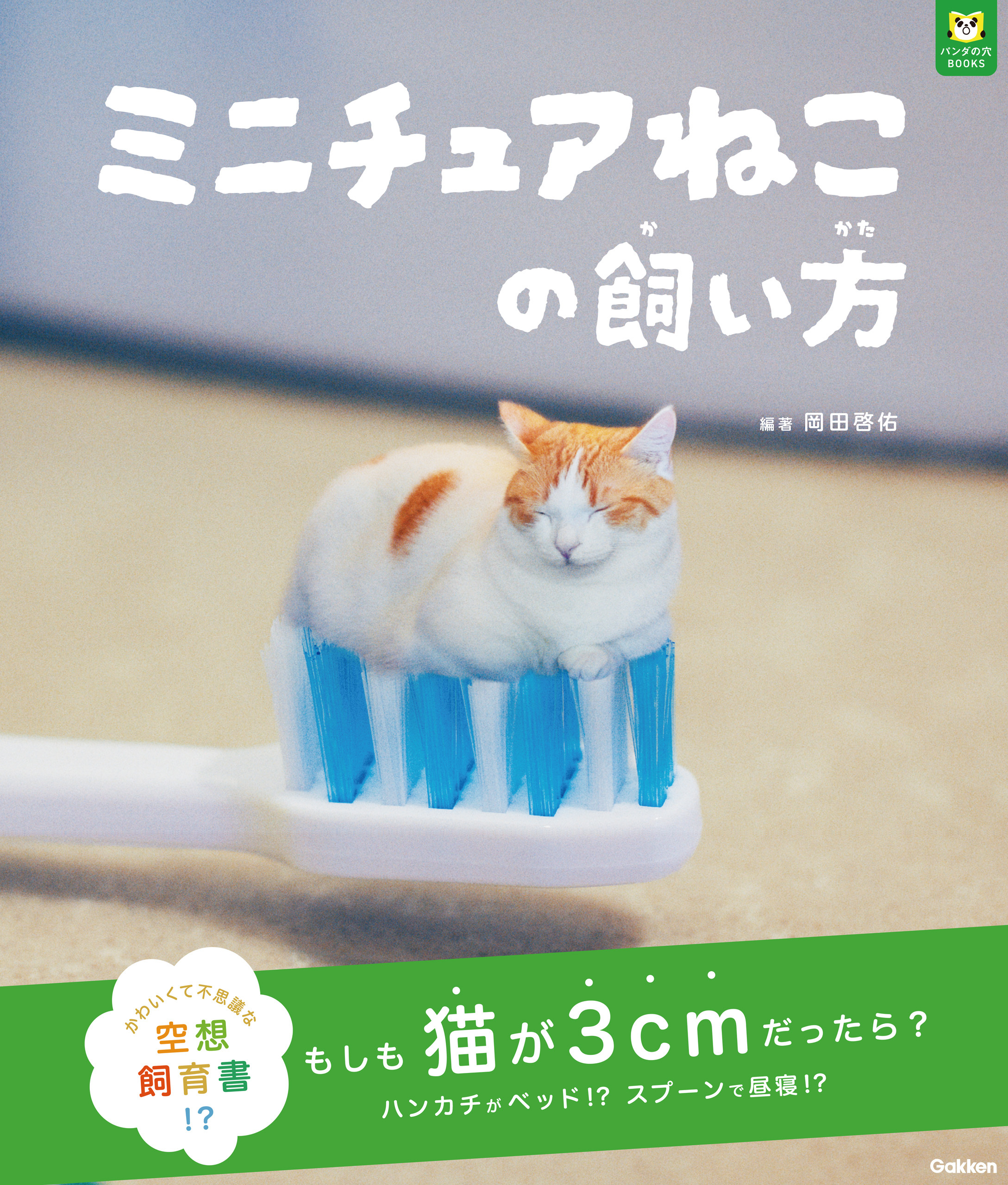 パンダの穴BOOKS ミニチュアねこの飼い方