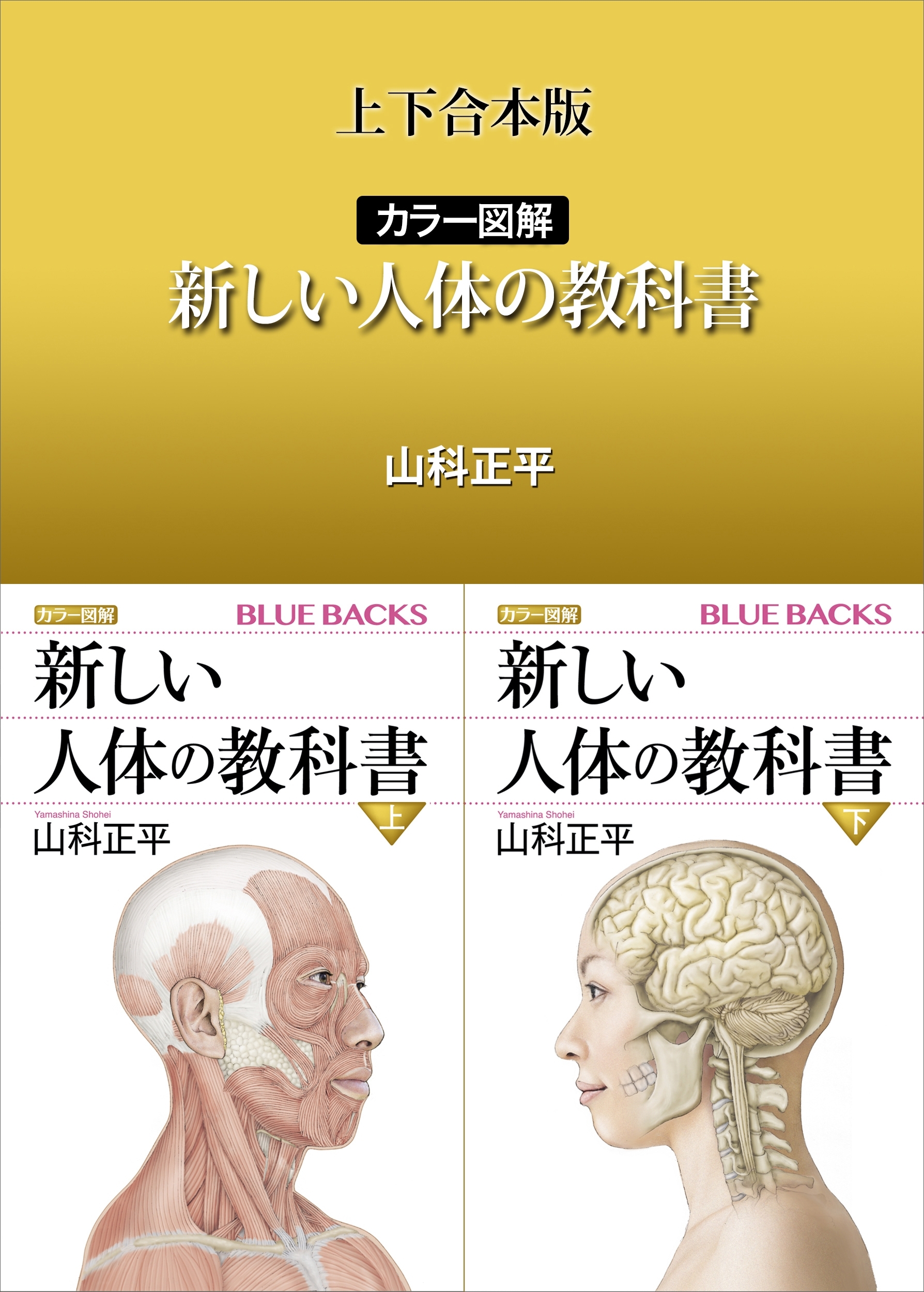 上下合本版　カラー図解　新しい人体の教科書