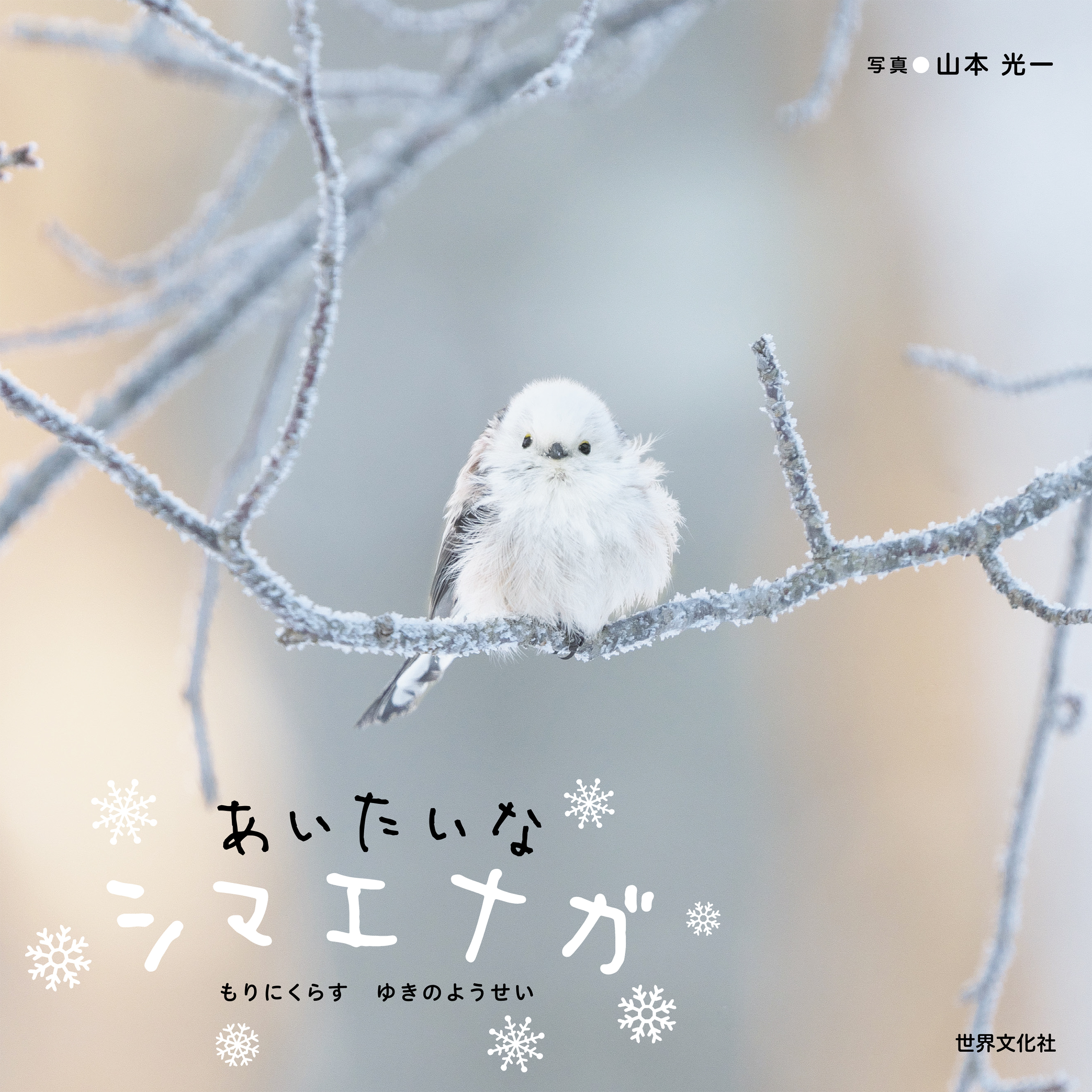 あいたいな シマエナガ