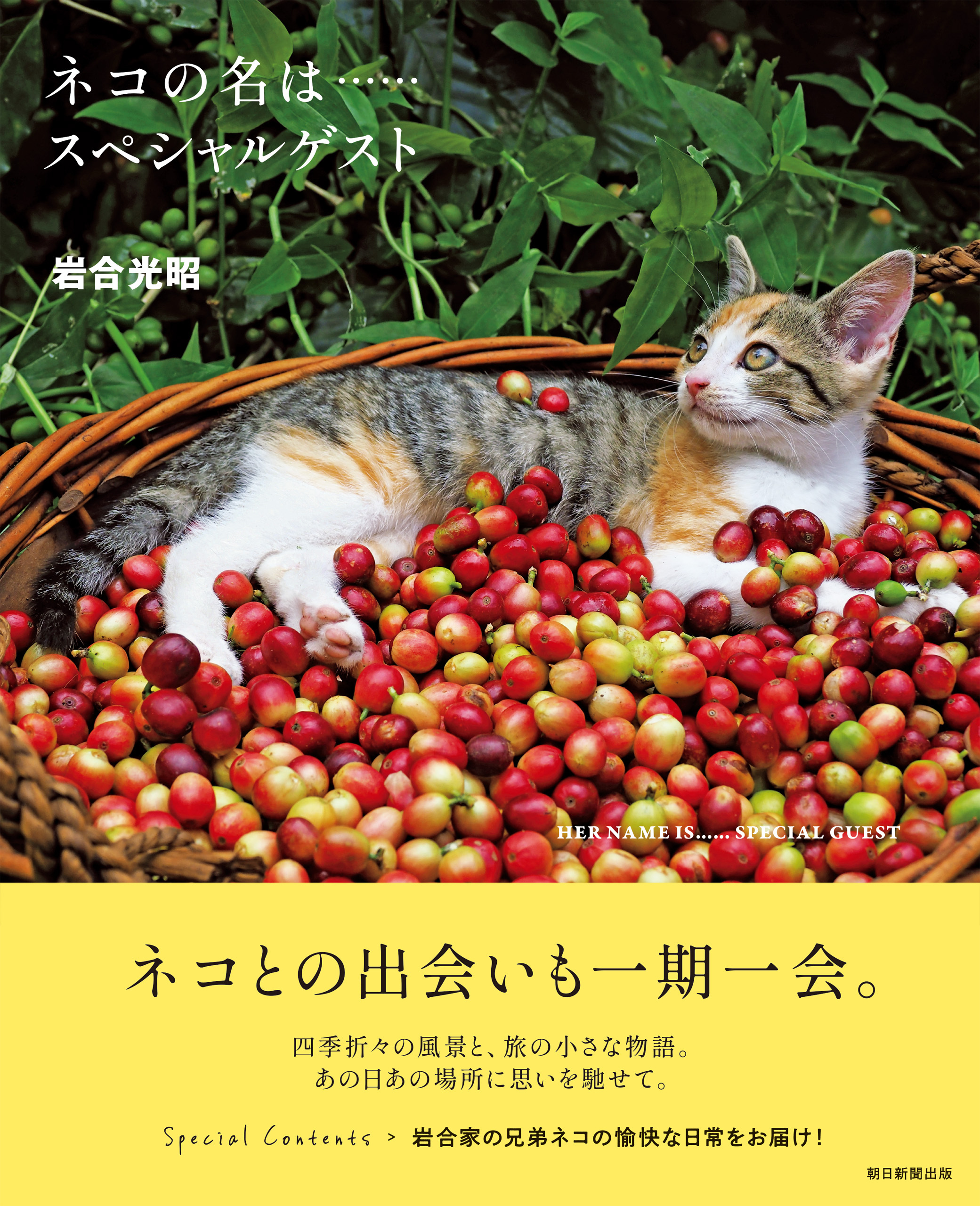 ネコの名は…… スペシャルゲスト