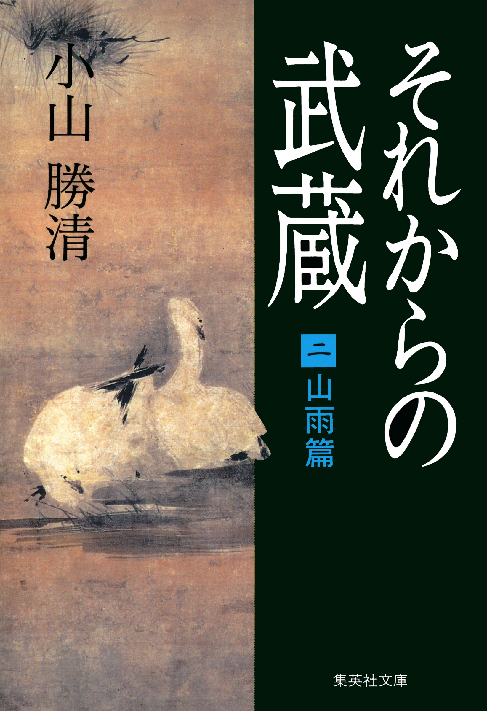 それからの武蔵（二）山雨篇