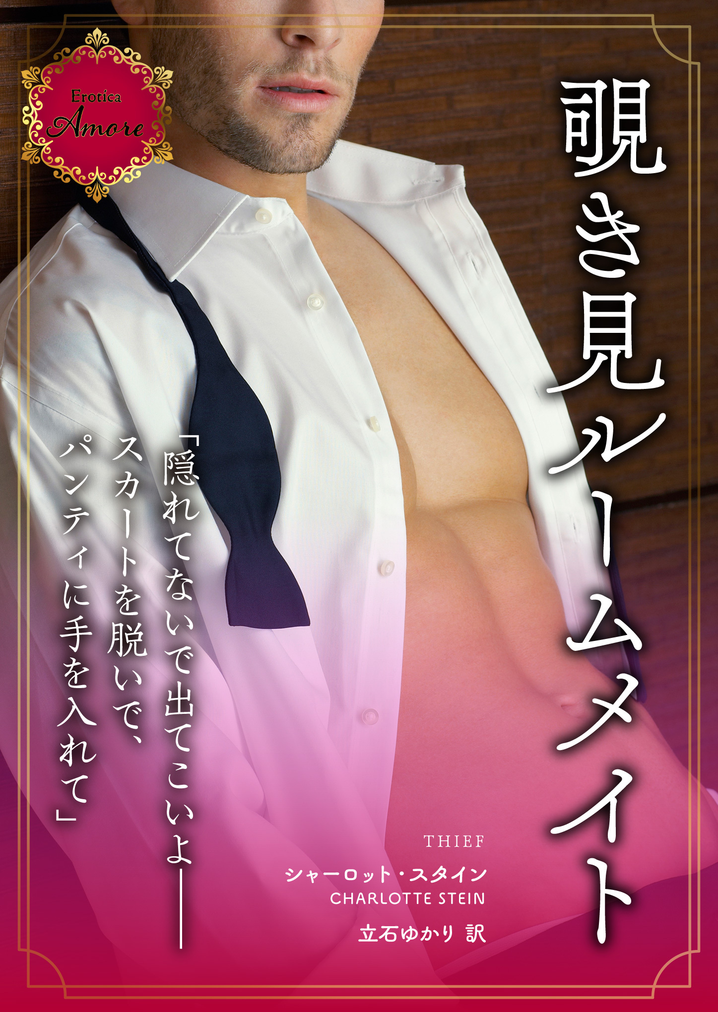 覗き見ルームメイト