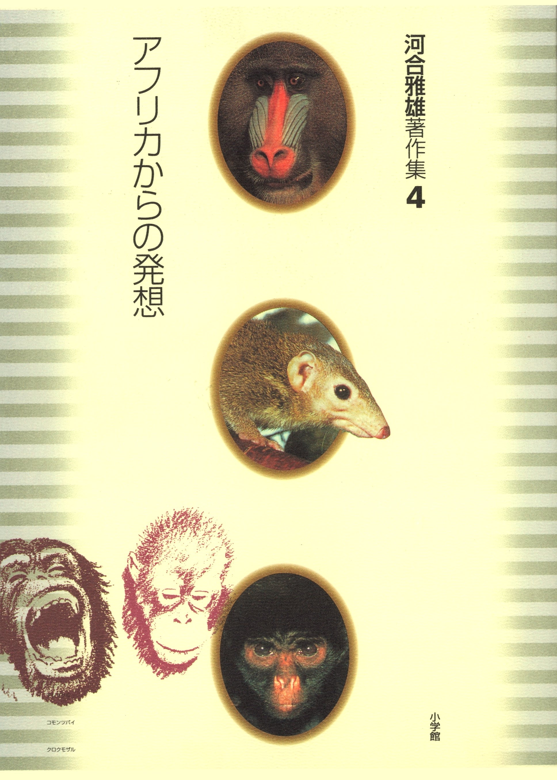 河合雅雄著作集4　アフリカからの発想