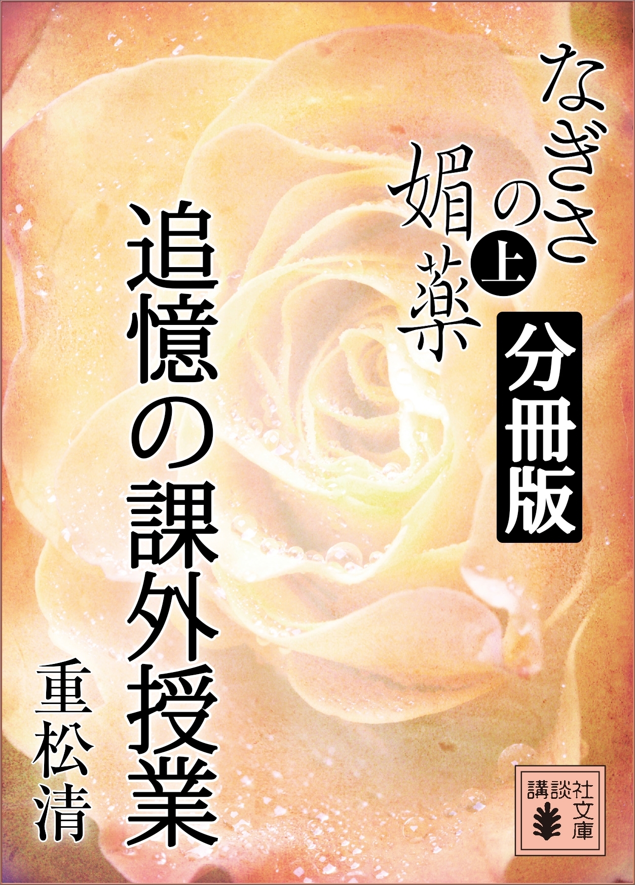 なぎさの媚薬　分冊版　追憶の課外授業