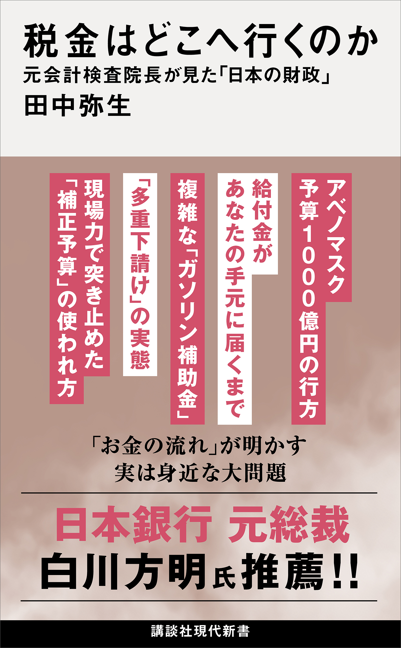 税金はどこへ行くのか　元会計検査院長が見た「日本の財政」
