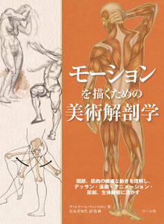 モーションを描くための美術解剖学