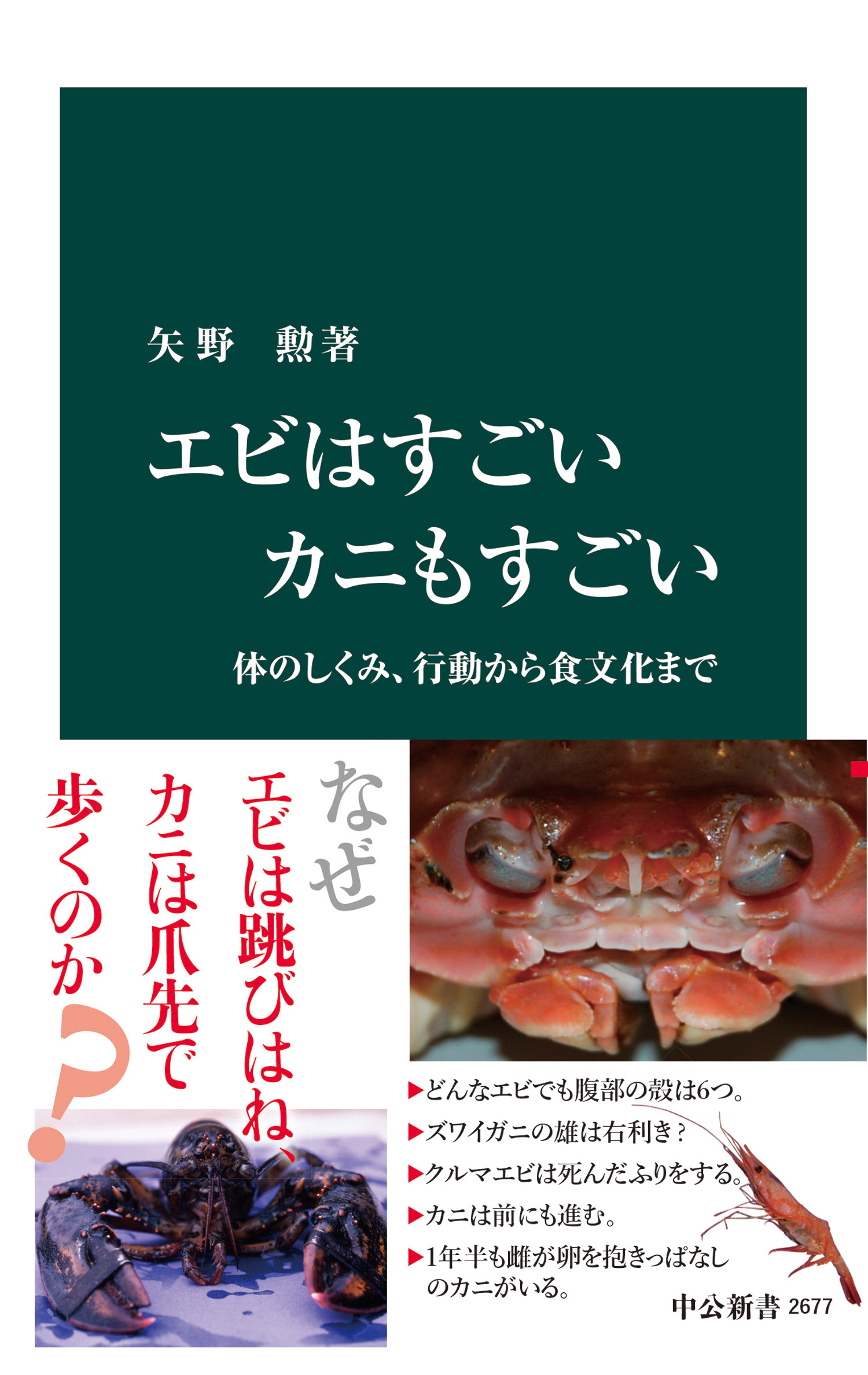 エビはすごい カニもすごい　体のしくみ、行動から食文化まで