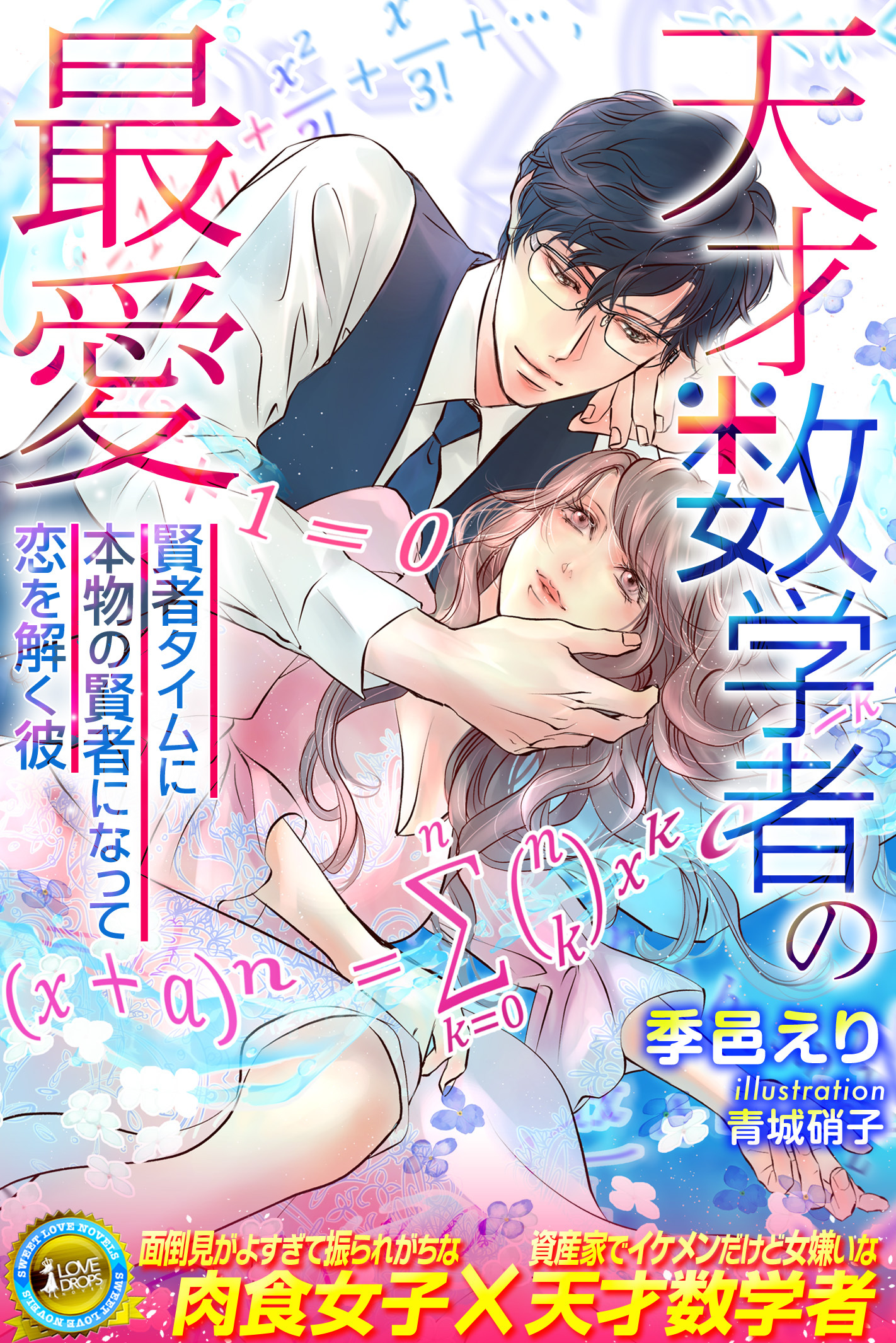 天才数学者の最愛　～賢者タイムに本物の賢者になって恋を解く彼～