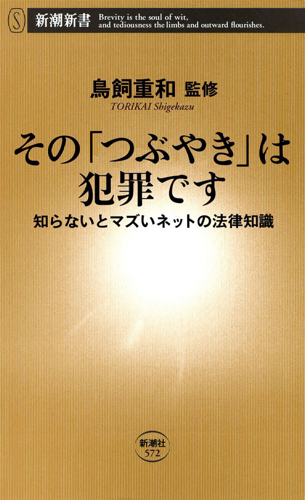 その「つぶやき」は犯罪です―知らないとマズいネットの法律知識―