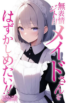 無表情ジト目メイドさんをはずかしめたい!!【モザイク版】
