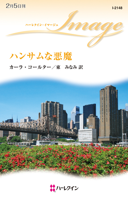 ハンサムな悪魔