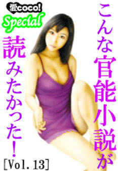 こんな官能小説が読みたかった!vol.13