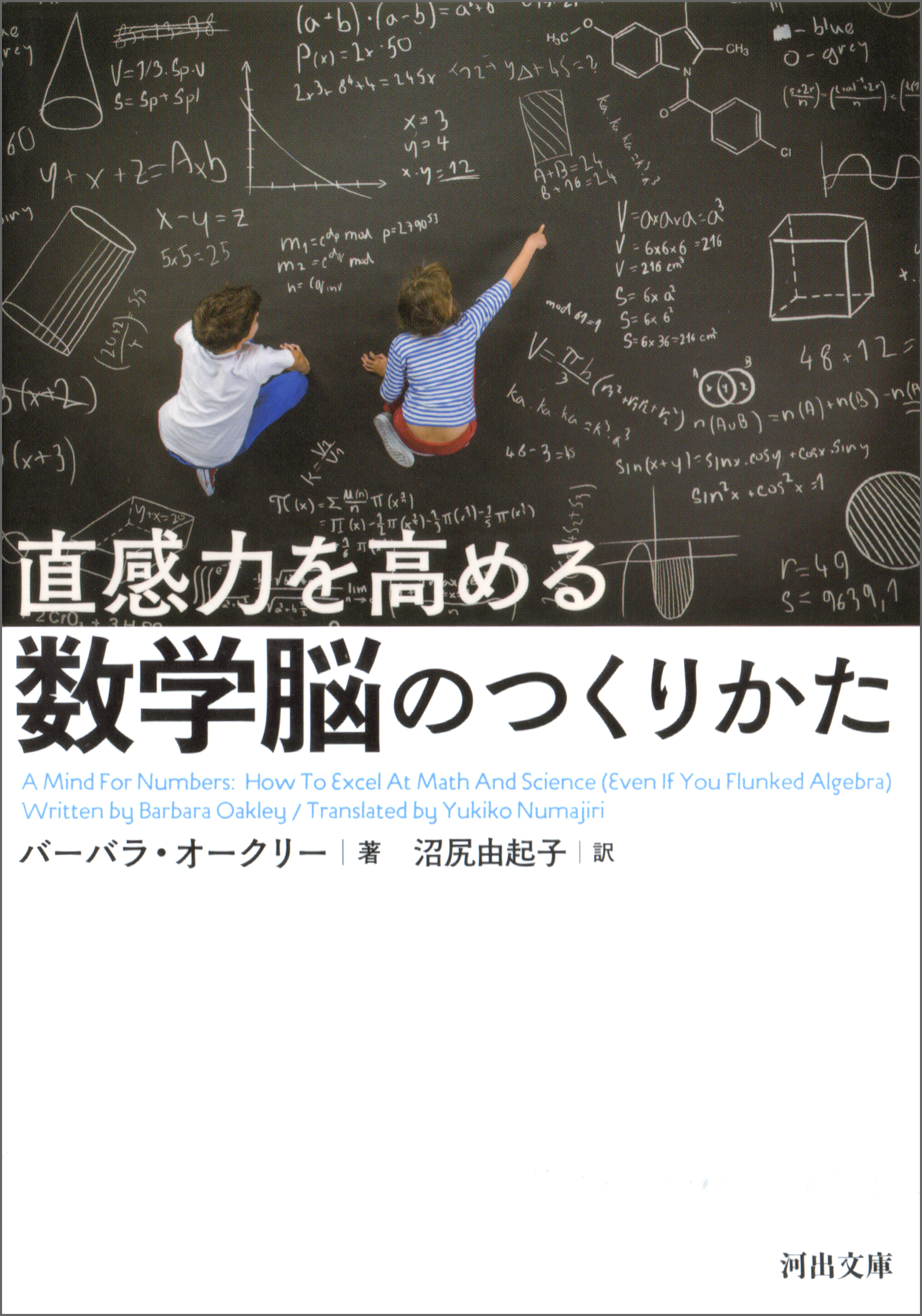 直感力を高める　数学脳のつくりかた
