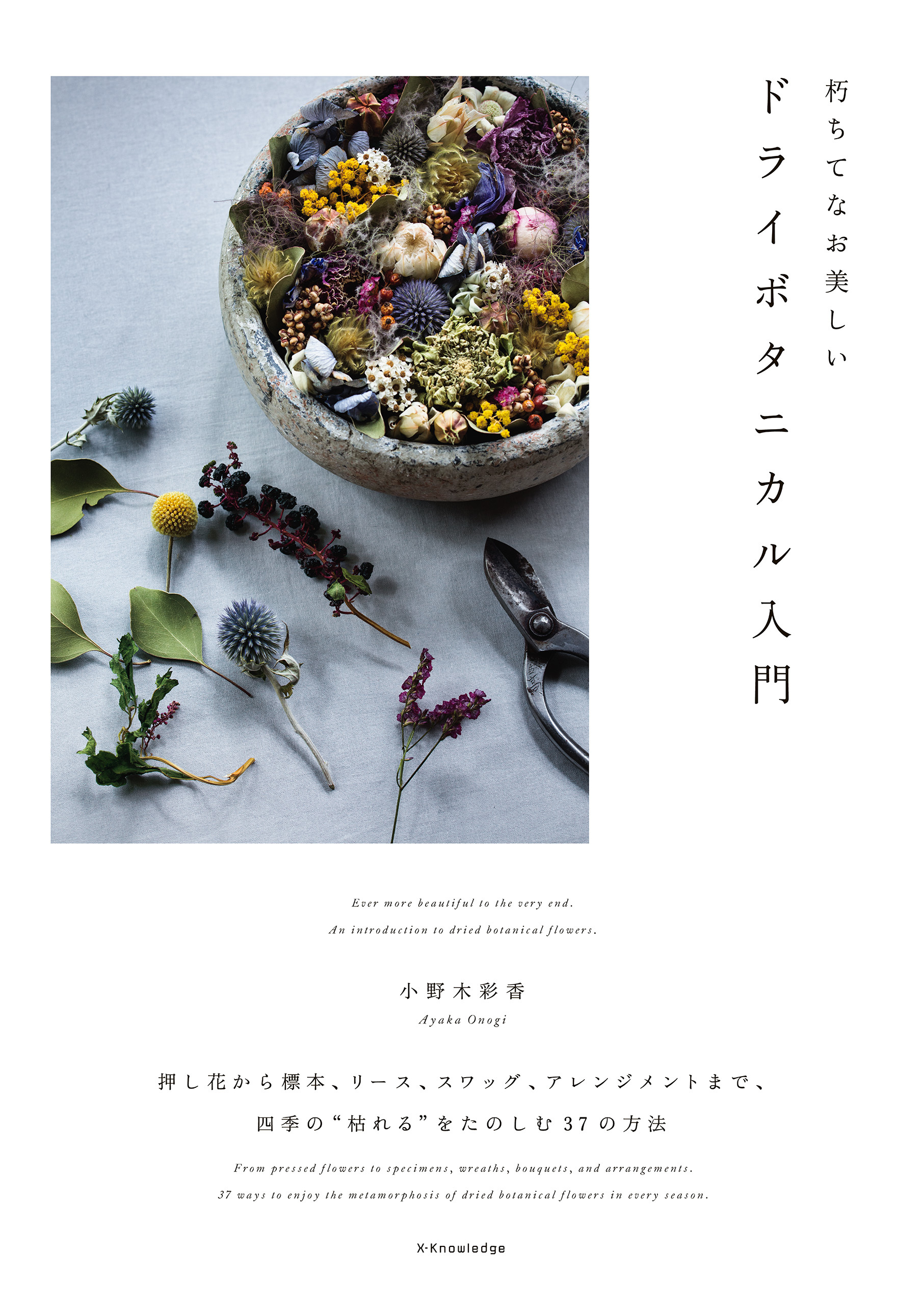 朽ちてなお美しい　ドライボタニカル入門