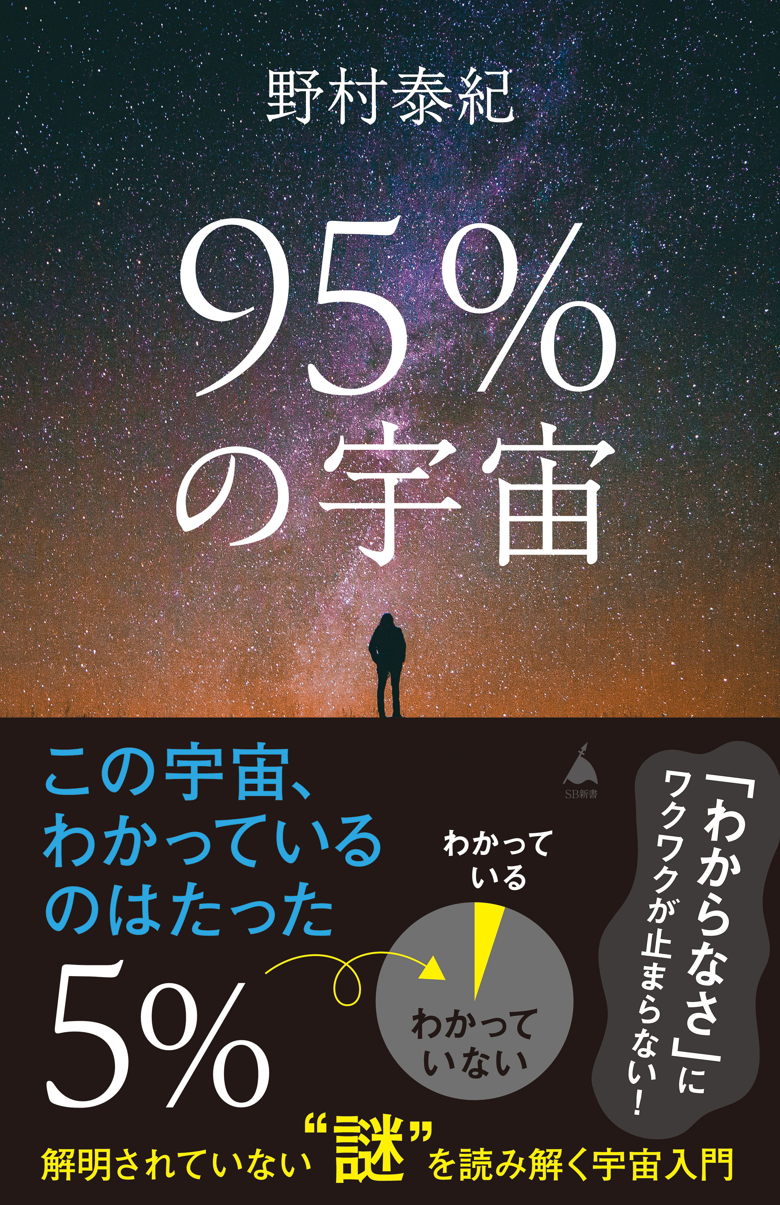 95％の宇宙