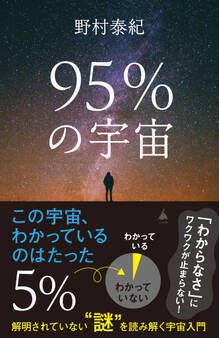 95%の宇宙