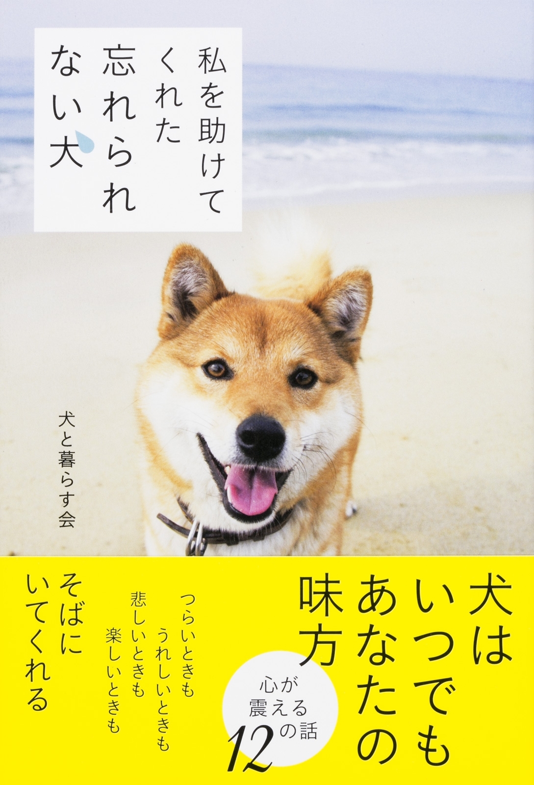 私を助けてくれた　忘れられない犬